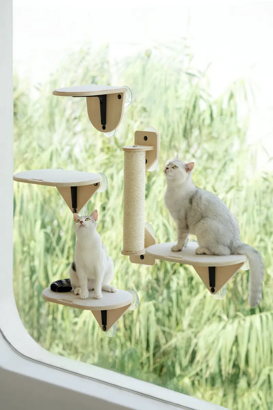 Mewoofun Air Cat Climbing Frame Cat Window Jumping Climbing Platform Glass Suction Cup Wall Shelf Cat Scratching Post Set - My Store